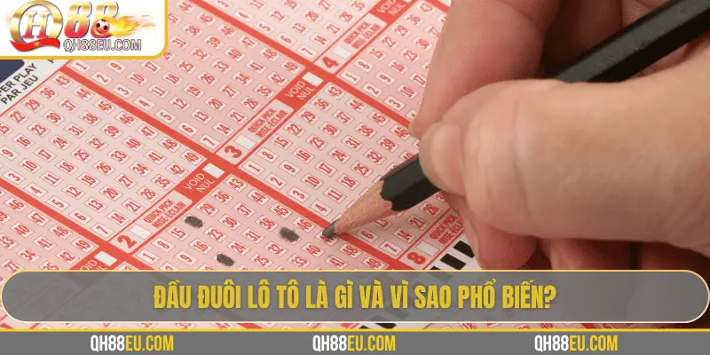Đầu Đuôi Lô Tô: Cách Hiểu, Cách Chơi Và Kinh Nghiệm Thực Tế 2 Đầu đuôi lô tô là gì và vì sao phổ biến?