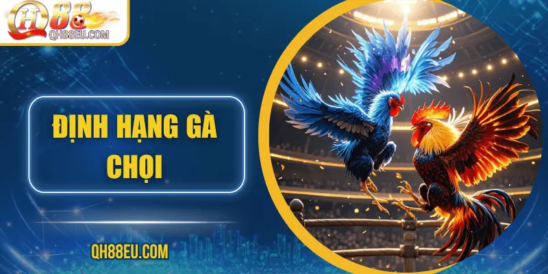 dinh-hang-ga-choi