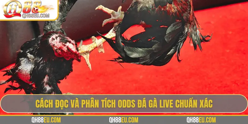 Cách đọc và phân tích odds đá gà live chuẩn xác