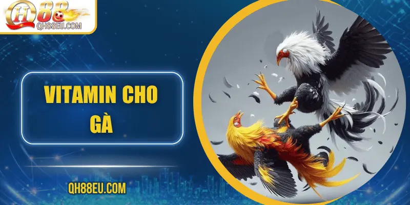 vitamin-cho-ga