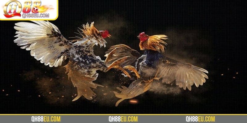 4 bí quyết tăng tỷ lệ thắng dễ dàng