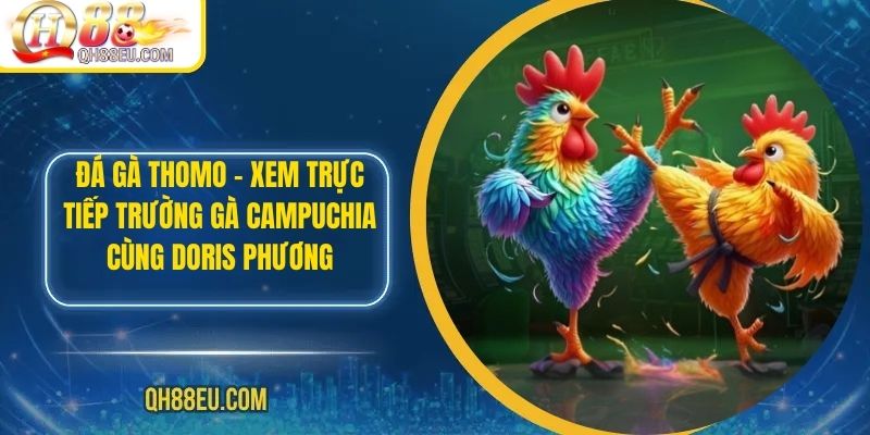 Đá Gà Thomo – Xem Trực Tiếp Trường Gà Campuchia Cùng Doris Phương