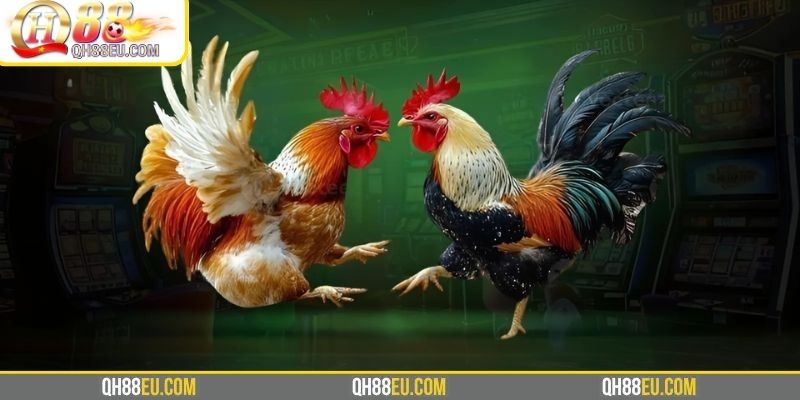 Những mẹo chơi hiệu quả theo tác giả Doris Phương