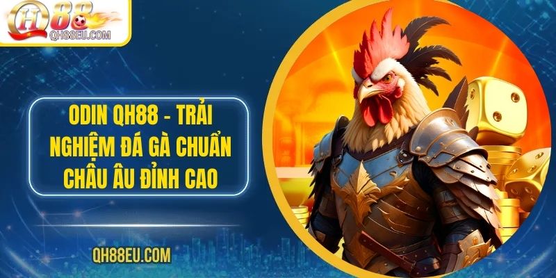 ODIN QH88 – Trải Nghiệm Đá Gà Chuẩn Châu Âu Đỉnh Cao