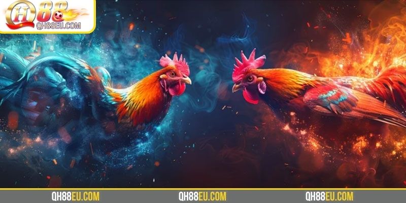 Ưu điểm thu hút triệu hội viên đến với SV388 tại QH88